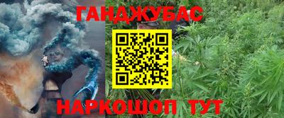 мдпв Ставрополь