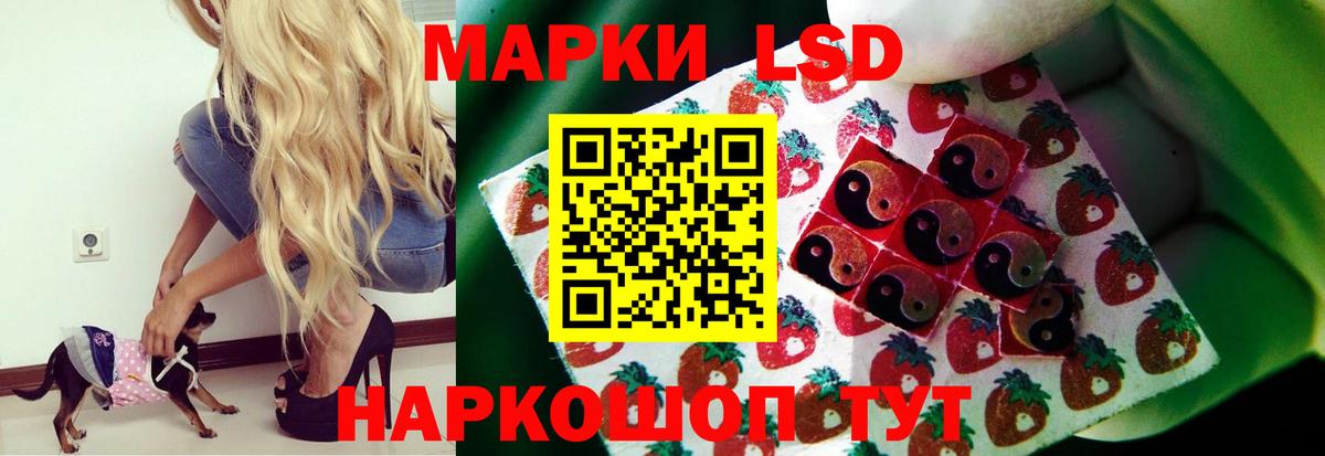  ONION  LSD-25 экстази  Новоалександровск  Вход с VPN  LSD-25 экстази кислота 