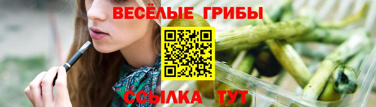 купить  цена  Вход с VPN  Галлюциногенные грибы Magic Shrooms  Новоалександровск  Псилоцибиновые грибы Magic Shrooms 
